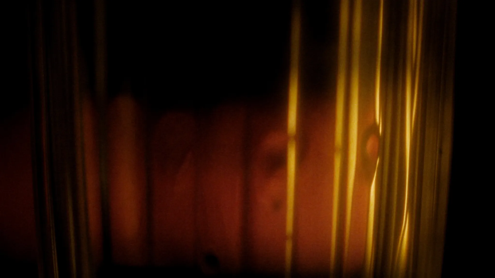 Maya’s light on the glass of a dark study, mid lesson